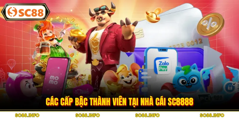 Các cấp bậc thành viên tại nhà cái SC8888