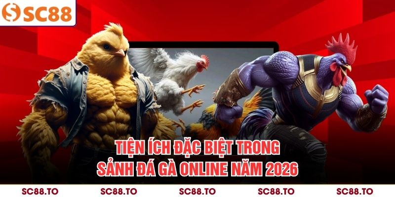 Tiện ích đặc biệt trong sảnh đá gà online năm 2026