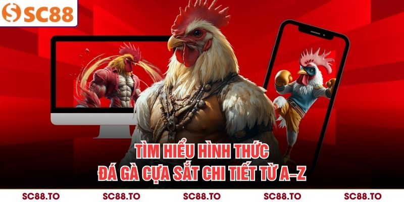 Tìm hiểu hình thức đá gà cựa sắt chi tiết từ A–Z